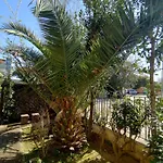 度假居 Domus Le Palme *