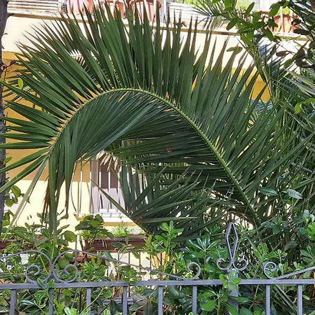 Domus Le Palme Fano (Pesaro and Urbino)