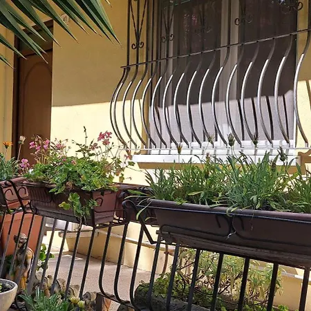 Domus Le Palme Fano