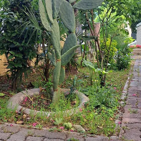 Domus Le Palme