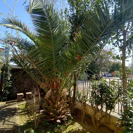 Nyaraló Domus Le Palme *