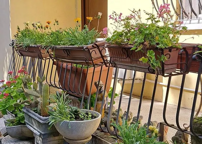 Domus Le Palme Σπίτι διακοπών Fano