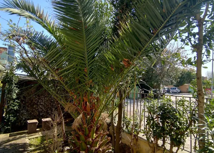 Vakantiehuis Domus Le Palme *